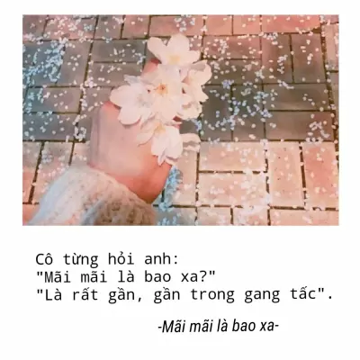 Top 10 bộ truyện ngôn tình thuộc thể loại sư đồ luyến hay nhất trên mạng