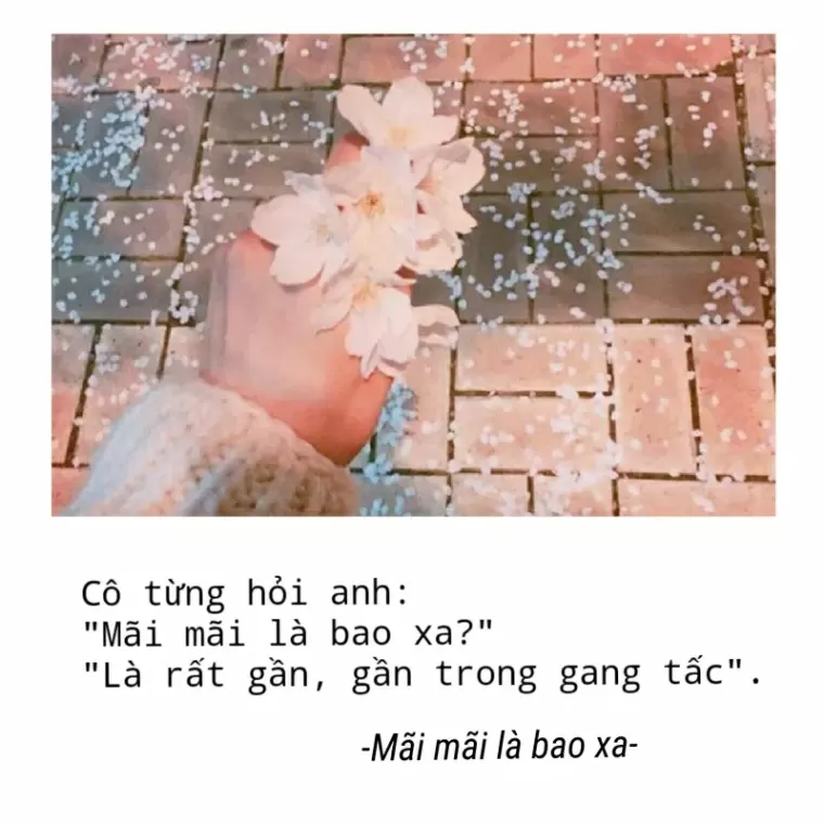 Top 10 bộ truyện ngôn tình thuộc thể loại sư đồ luyến hay nhất trên mạng