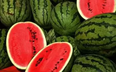 TOP 7 loại thực phẩm càng ăn càng trẻ ra