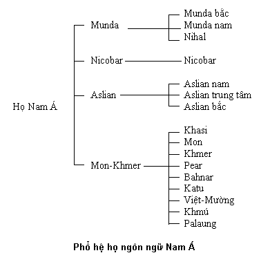 Top 8 ngôn ngữ chính được sử dụng trên đất nước ta