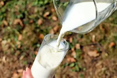 TOP 8 loại thực phẩm dễ gây táo bón cần chú ý