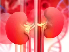 Top 8 công dụng cực tốt của hạt sen đối với sức khỏe con người