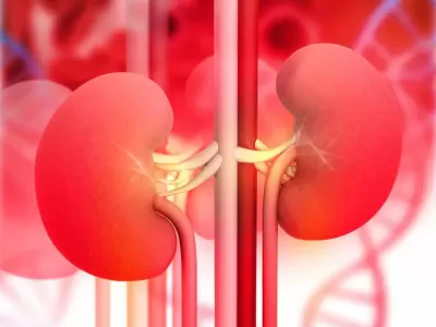 Top 8 công dụng cực tốt của hạt sen đối với sức khỏe con người