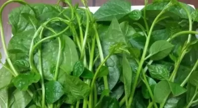 TOP 7 loại rau xanh giúp làm đẹp da tốt nhất