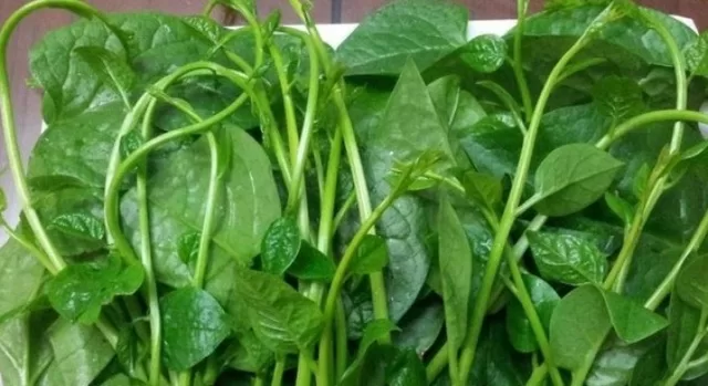 TOP 7 loại rau xanh giúp làm đẹp da tốt nhất