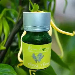 TOP 8 loại tinh dầu từ tự nhiên đa công dụng