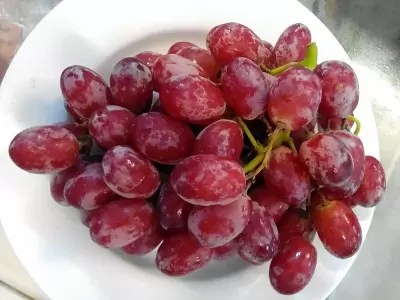 Top 6 loại trái cây rất tốt với sức khỏe của người cao tuổi