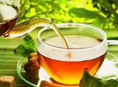 TOP 5 điều cần lưu ý quan trọng khi sử dụng trà xanh
