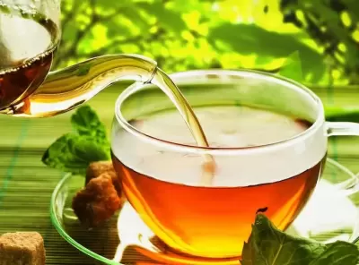 TOP 5 điều cần lưu ý quan trọng khi sử dụng trà xanh