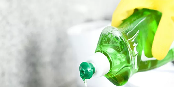 TOP 7 mẹo đuổi gián cực hiệu quả cho những ai chưa biết