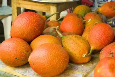 Top 10 loại thực phẩm có chứa nhiều Vitamin A nhất hiện nay