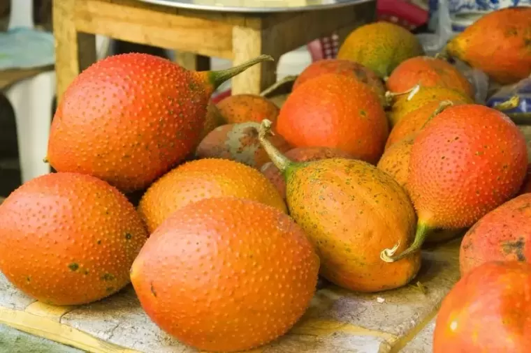 Top 10 loại thực phẩm có chứa nhiều Vitamin A nhất hiện nay