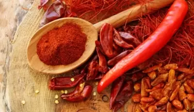 TOP 7 mẹo đuổi chuột đơn giản hiệu quả nhất