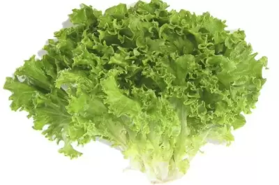 TOP 7 mẹo vặt trong nhà bếp giúp tiết kiệm thời gian vào bếp