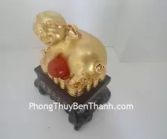 Top 10 linh vật phong thủy có thể giúp cho tuổi Hợi năm 2018