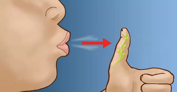 TOP 7 mẹo đơn giản để cuộc sống tốt đẹp hơn