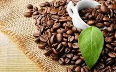 TOP 7 mẹo chùi rửa tủ lạnh sạch bong ngày Tết