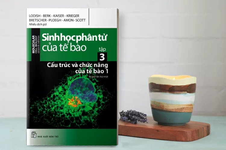 Top 6 tựa sách hay về sinh học được nhiều người mua nhất hiện nay