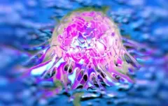 Top 7 loạt virus có biến thể nguy hại nhất trong lịch sử