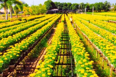 Top 6 địa điểm mà bạn nên ghé thăm khi đặt chân đến Đồng Tháp