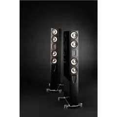 Top 6 chiếc loa được đánh giá có âm thanh hay nhất của Raidho Acoustics
