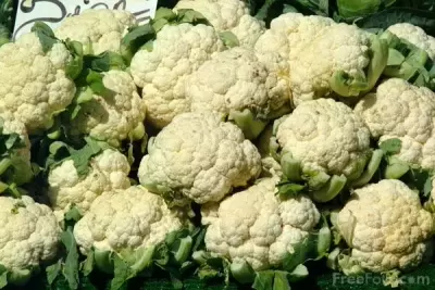 Top 7 loại thực phẩm ăn kiêng giảm cân hiệu quả được khoa học chứng minh