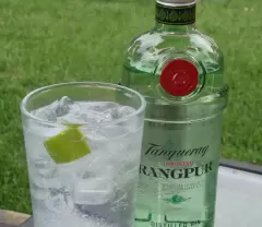 Top 5 loại rượu Gin đang được yêu thích nhất hiện nay