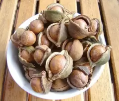 Top 7 loại thực phẩm chống lão hóa tốt kèo dài tuổi xuân