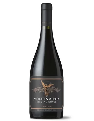 Top 6 thương hiệu rượu vang nổi tiếng nhất từ giống nho PINOT NOIR