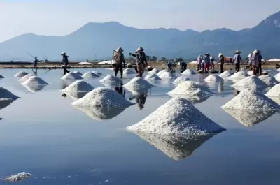 Top 5 cánh đồng muối tuyệt đẹp ở nước ta