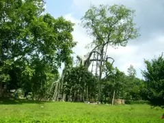 Top 6 địa điểm du lịch mà bạn nên đến khi tới Tuyên Quang