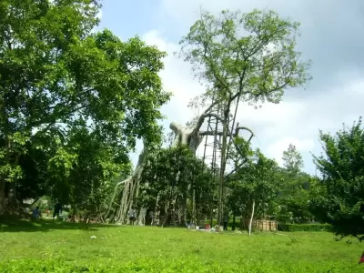 Top 6 địa điểm du lịch mà bạn nên đến khi tới Tuyên Quang