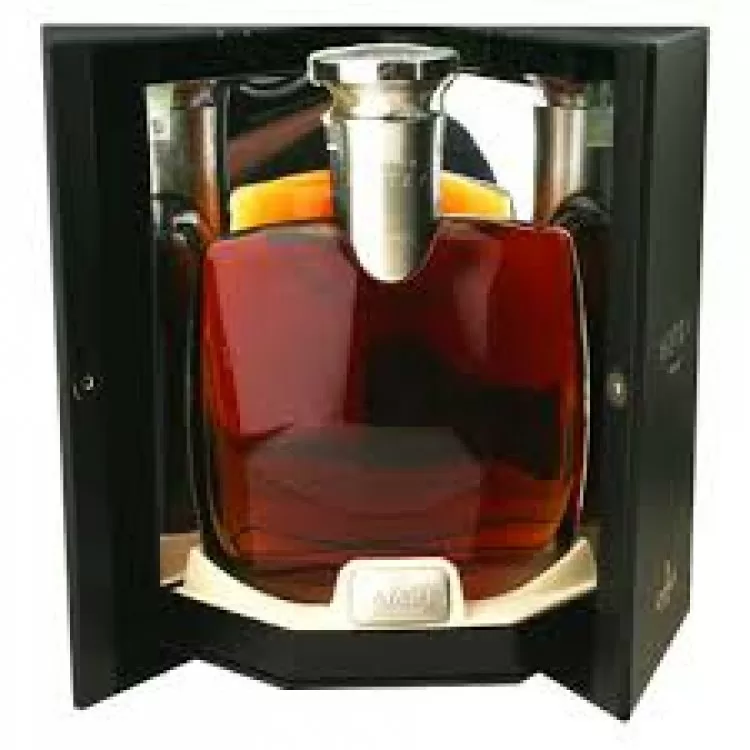 Top 5 loại rượu Cognac Camus được yêu thích nhất hiện nay
