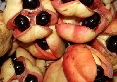 Top 7 loại trái cây kỳ lạ dùng không đúng có thể giết chết bạn