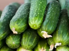 Top 7 loại thực phảm sẽ gây hại cho sức khỏe nếu để trong ngăn đá