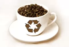 Top 7 sự thật thú vị về cà phê du uống hằng ngày cũng chưa biết