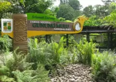 Top 6 địa điểm mà bạn nên đến khi đặt chân đến Malaysia