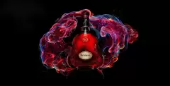 Top 5 loại rượu Cognac Hennessy được yêu thích nhất hiện nay