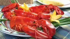 Top 6 món ngon mà bạn thử khi đặt chân đến Canada