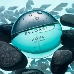 Top 5 lọ nước hoa phong cách huyền ảo được ưa thích nhất