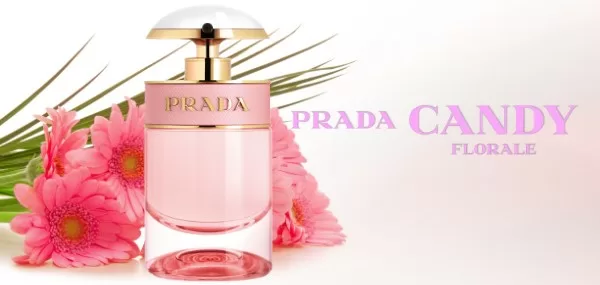 Top 4 lọ nước hoa được ưa thích nhất của Prada