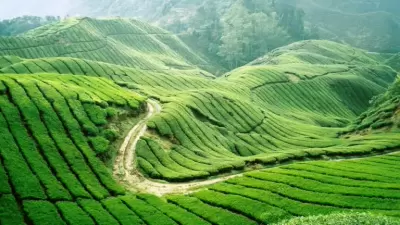 Top 6 điểm du lịch đẹp và nổi tiếng nhất của Malaysia