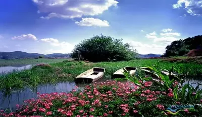 Top 6 địa điểm du lịch đẹp và nổi tiếng nhất ở Hàn Quốc