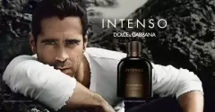 Top 5 lọ nước hoa được mua nhiều nhất của Dolce & Gabbana