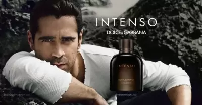 Top 5 lọ nước hoa được mua nhiều nhất của Dolce & Gabbana