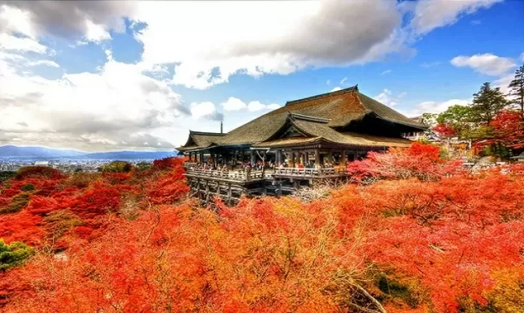 Top 6 khu du lịch đẹp nổi tiếng hấp dẫn du khách nhất kyoto Nhật Bản