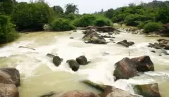 Top 6 địa điểm du lịch đẹp và nổi tiếng nhất ở Đồng Nai