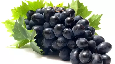 TOP 10 loại trái cây thần thánh giúp tăng cân nhanh