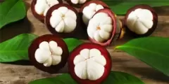 Top 7 lợi ích rất tuyệt với từ quả măng cụt mà bạn nên ăn