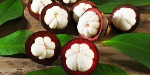 Top 7 lợi ích rất tuyệt với từ quả măng cụt mà bạn nên ăn